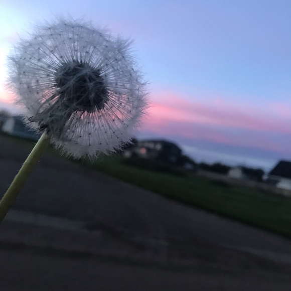 Meet your Posher, Keyera - Picture 1 of 1